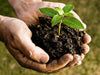 5 Easy Steps To Composting