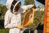 Maintaining Your Own Beehive
