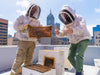 What Is Urban Beekeeping?